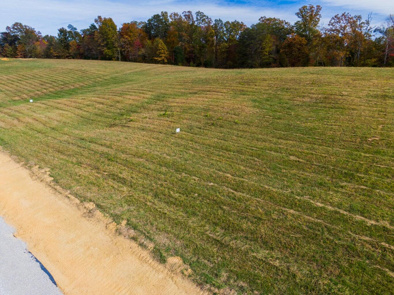 Lot 31 Spring Branch Hollow Road Nancy, KY 42544 - Photo 2 of 5 Lot 31-2