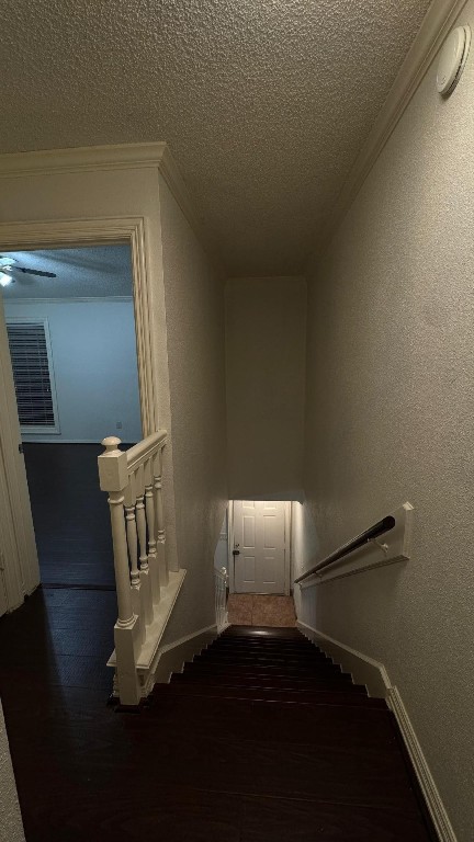 3600 Jeanetta Street, Unit 1301 Houston, TX 77063 - Photo 3 of 21 a view of entryway with wooden floor