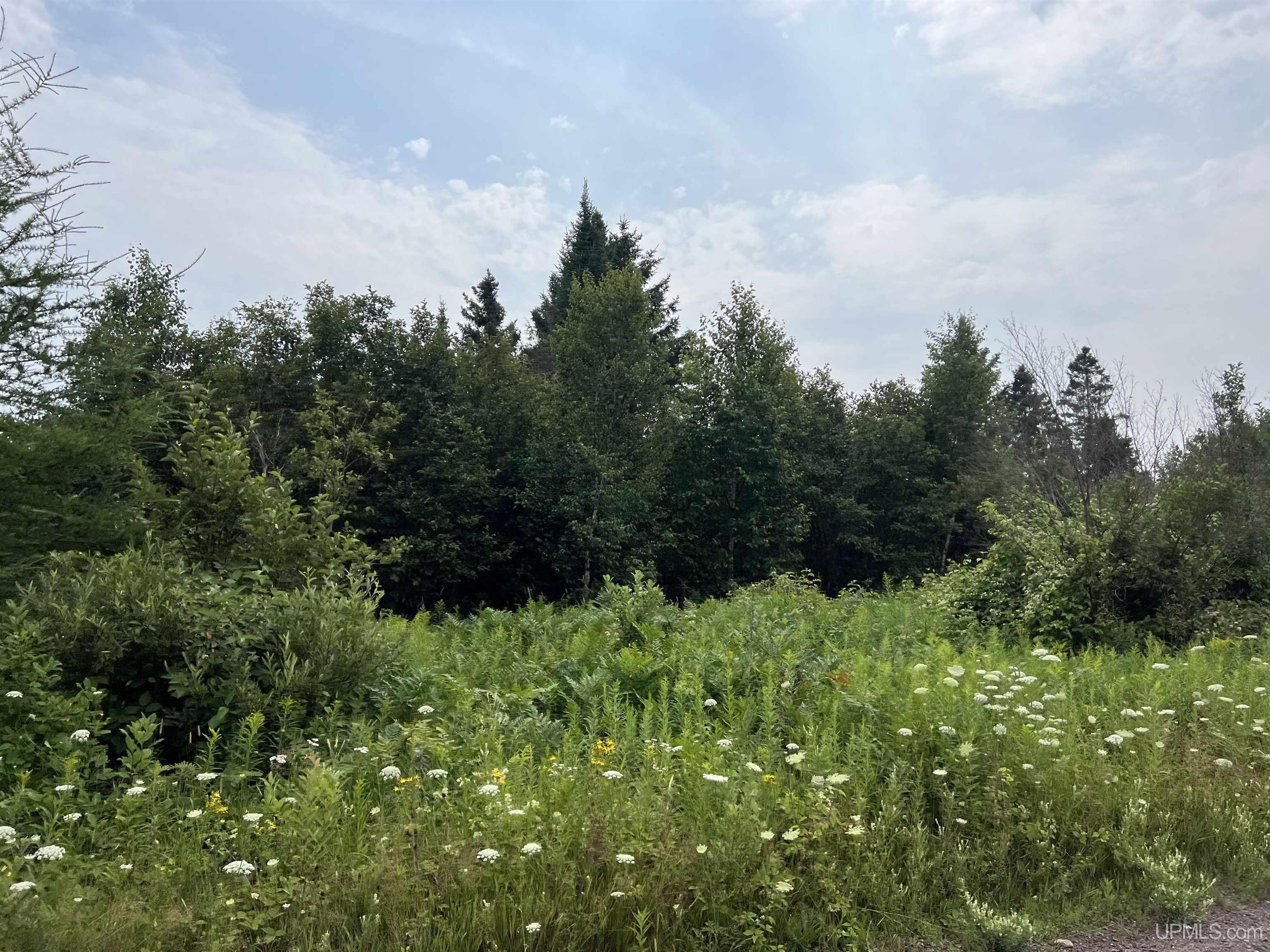 Tbd 40 A Tapio Road Chassell, MI 49916 - Photo 3 of 11