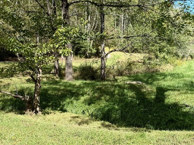 705 Martin Road Murphy, NC 28906 - Photo 30 of 39 Gallery Image 30