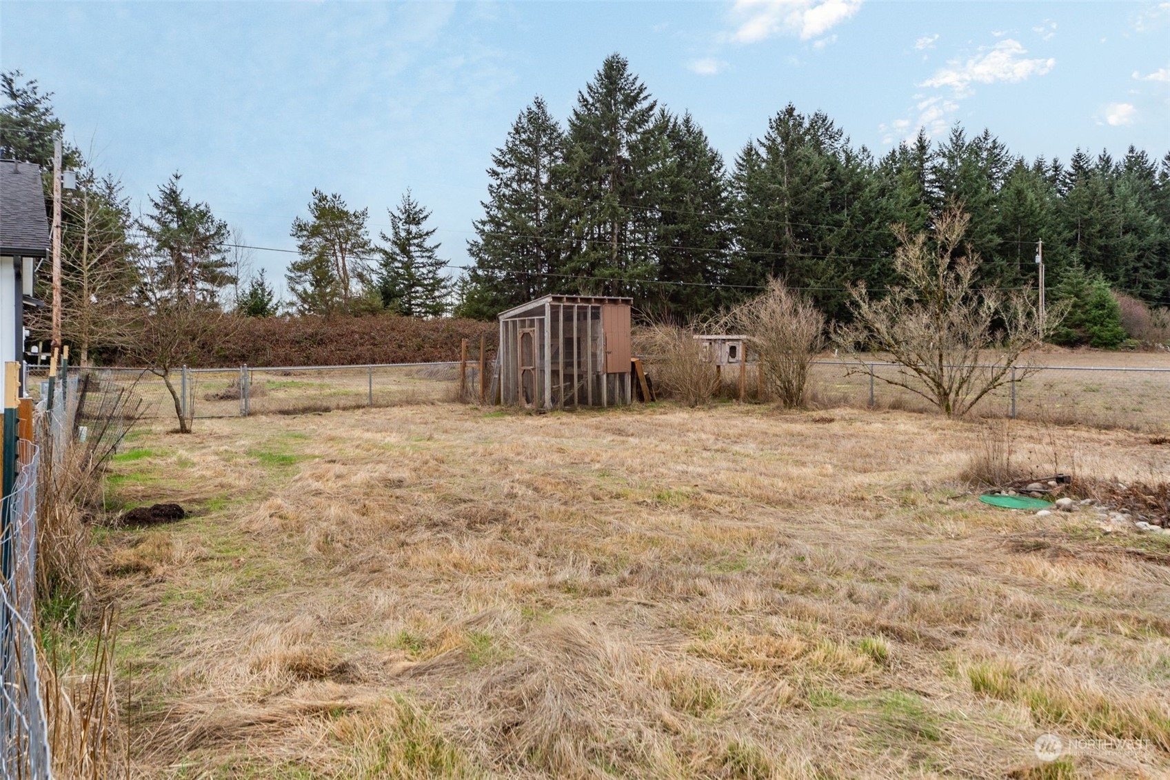 6742 187th Avenue Southwest Rochester, WA 98579 - Photo 22 of 27 a view of backyard with trees