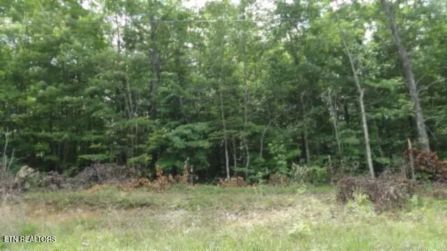 $64,900 | Lot 48 Parkstown Extension, Wilder, TN 38589