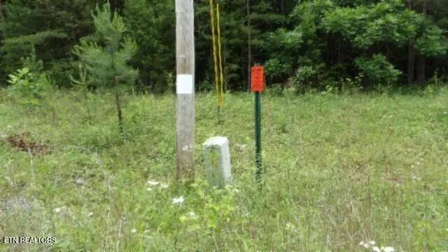 $64,900 | Lot 48 Parkstown Extension, Wilder, TN 38589