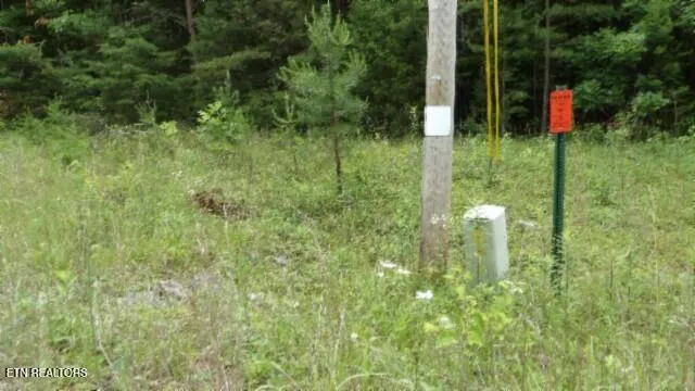 $64,900 | Lot 48 Parkstown Extension, Wilder, TN 38589