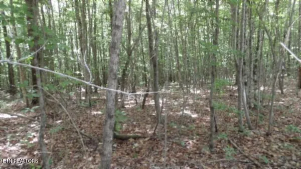 $64,900 | Lot 48 Parkstown Extension, Wilder, TN 38589
