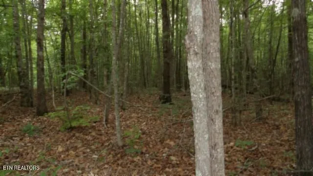 $64,900 | Lot 48 Parkstown Extension, Wilder, TN 38589