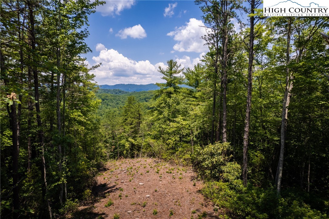 291 Ninebark Road Boone, NC 28607 - Photo 1 of 31 Gallery Image 1