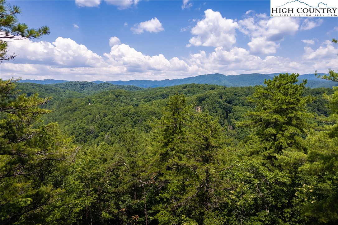 291 Ninebark Road Boone, NC 28607 - Photo 2 of 31 Gallery Image 2