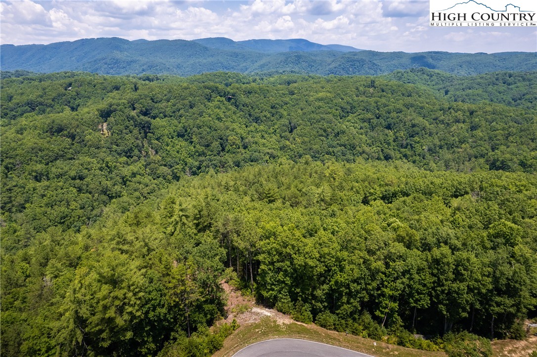 291 Ninebark Road Boone, NC 28607 - Photo 4 of 31 Gallery Image 4