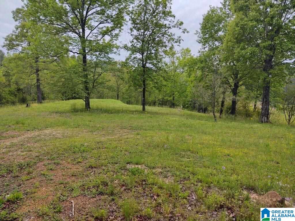 1122 Shortown Branch Road, Unit 107A Bessemer, AL 35023 - Photo 13 of 30