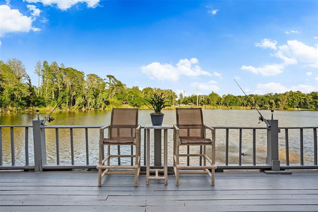 17301 Estes Road Lutz, FL 33548 - Photo 27 of 56