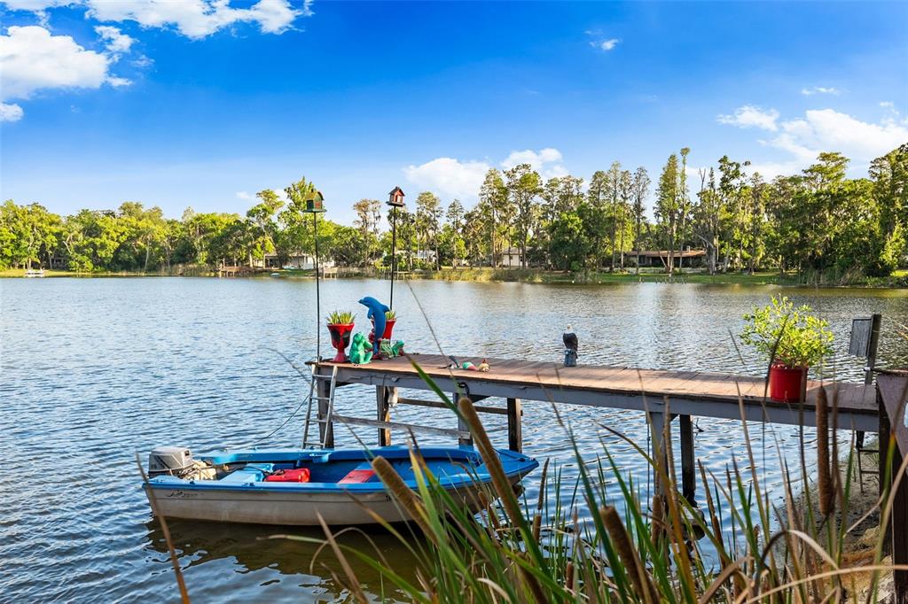 17301 Estes Road Lutz, FL 33548 - Photo 43 of 56