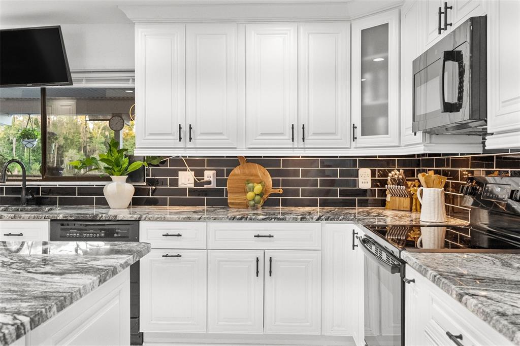 17301 Estes Road Lutz, FL 33548 - Photo 5 of 56