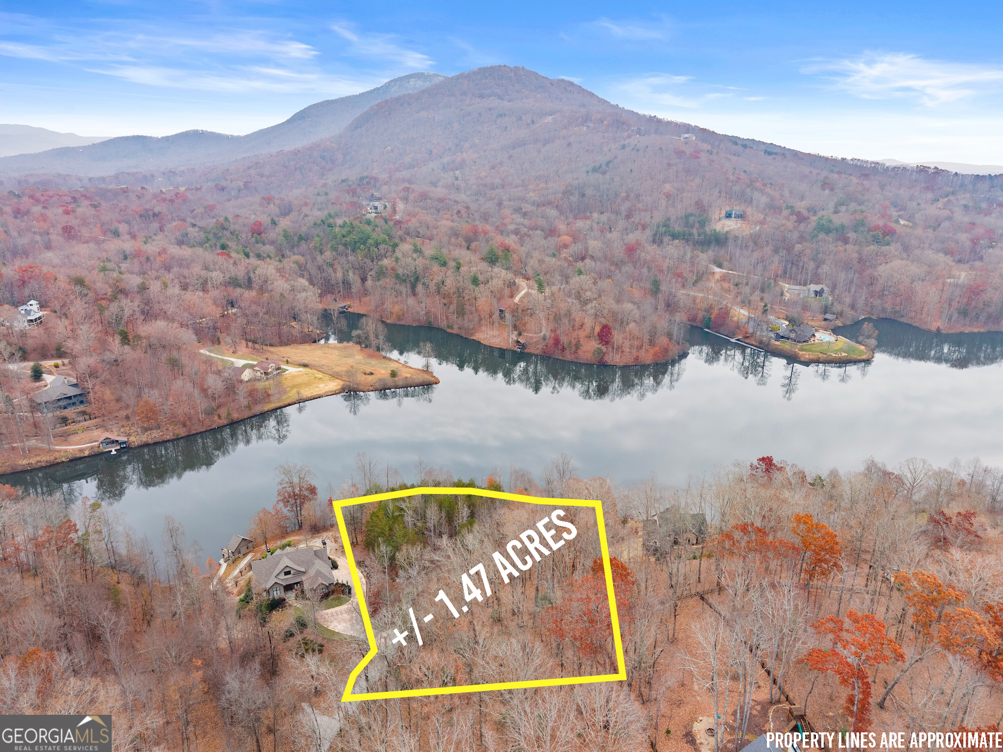 a view of a lake with a mountain in the background
