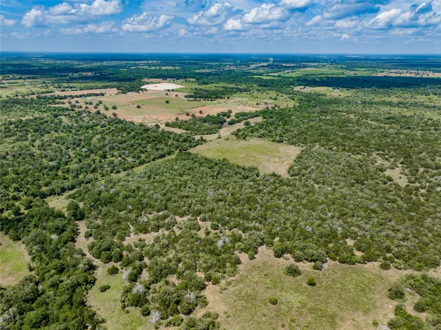 $675,000 | 13 Armstrong Derry Road, Waelder, TX 78959