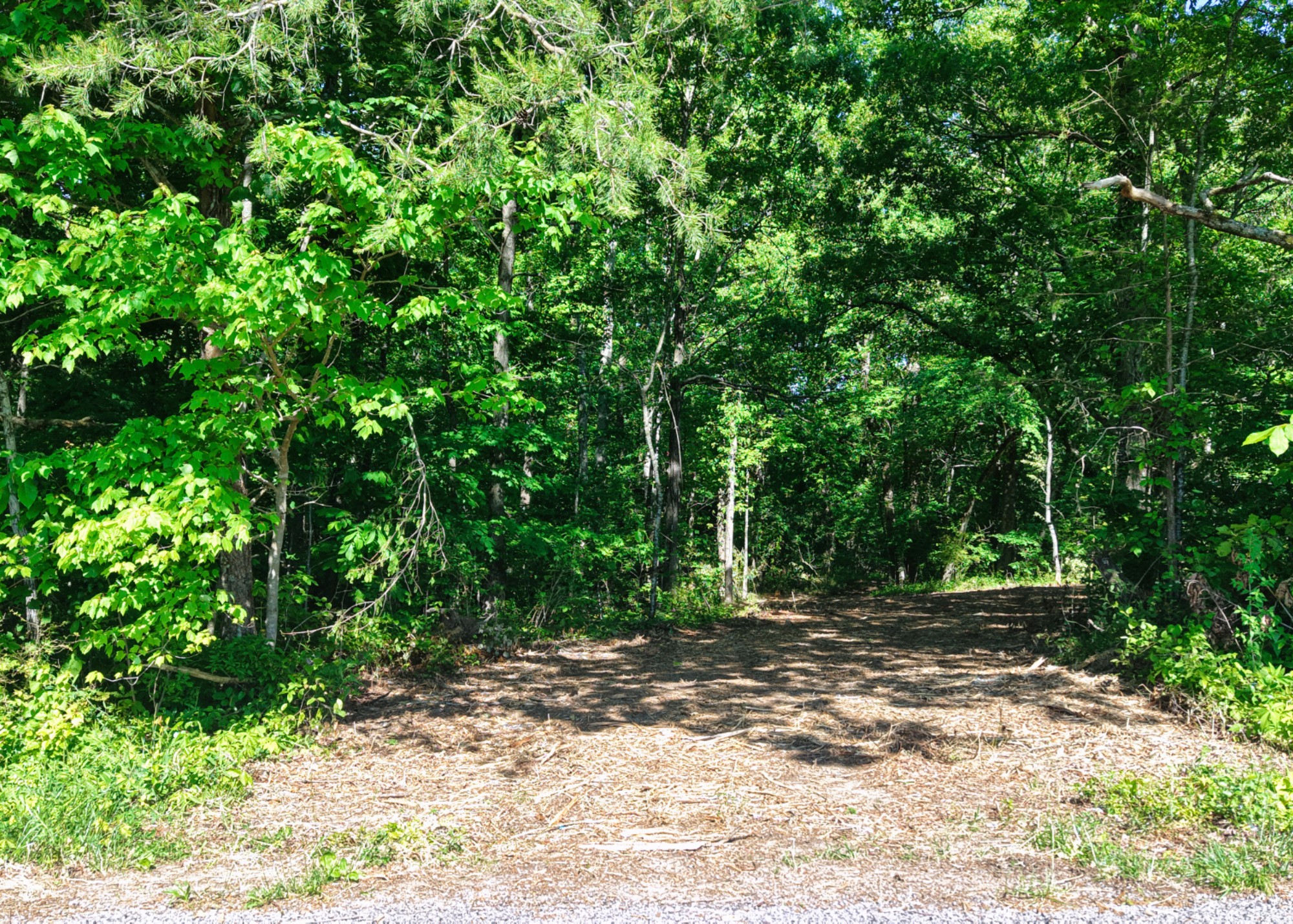 1622 Monteagle Falls Road Monteagle, TN 37356 - Photo 6 of 9