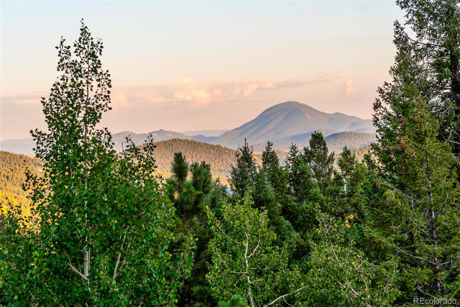 244 Old Sawmill Road Bailey, CO 80421 - Photo 24 of 38 Gallery Image 24