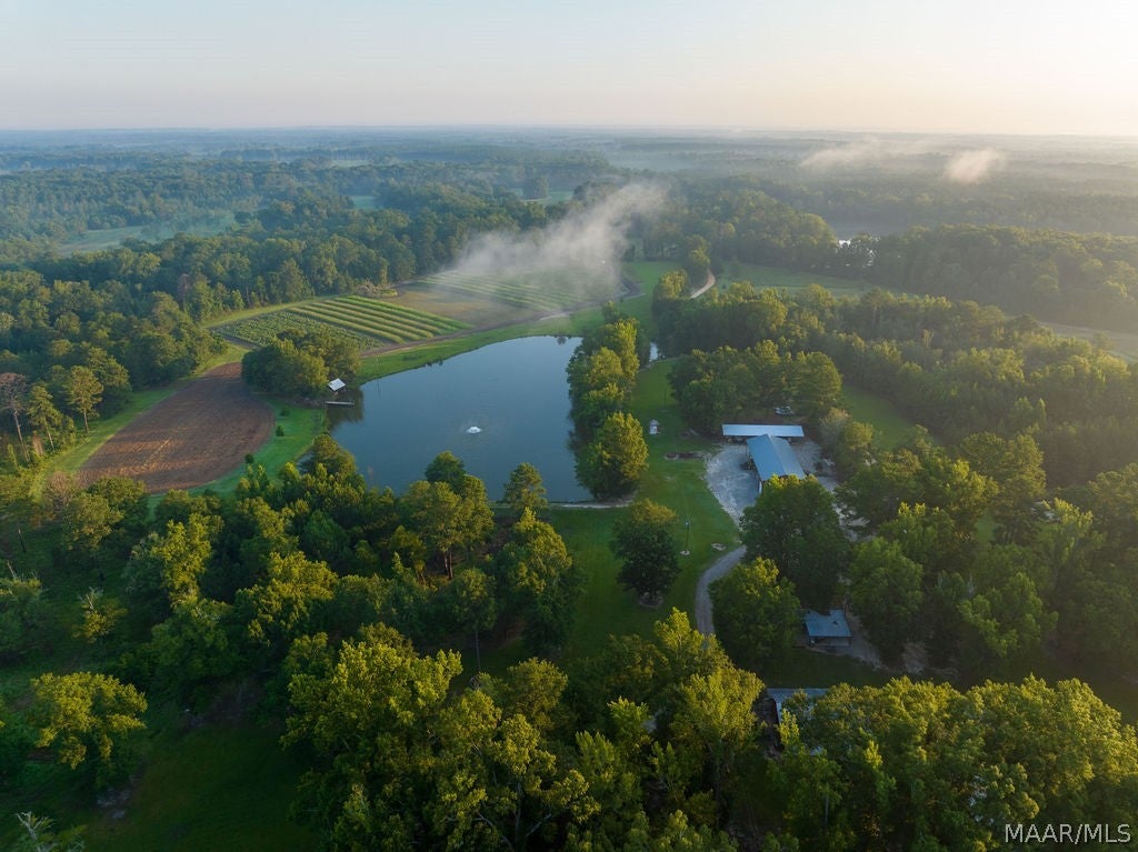 0 Dykes Road Hurtsboro, AL 36860 - Photo 1 of 59 Gallery Image 1
