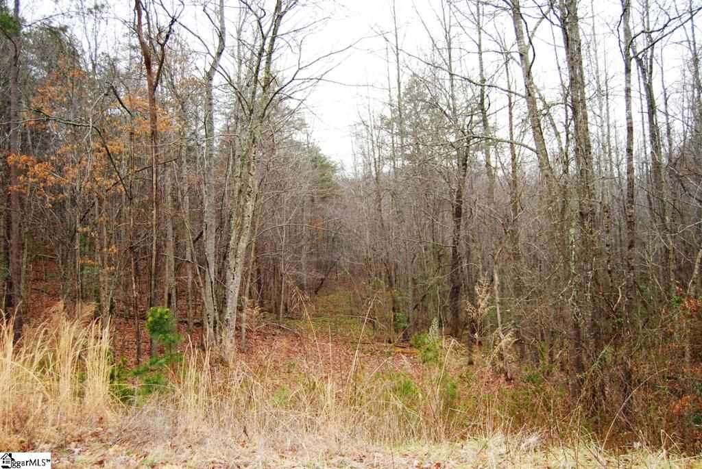 0 Roco Trail, Unit LOT 26 ROCO TRAIL Travelers Rest, SC 29690 - Photo 1 of 8 Gallery Image 1