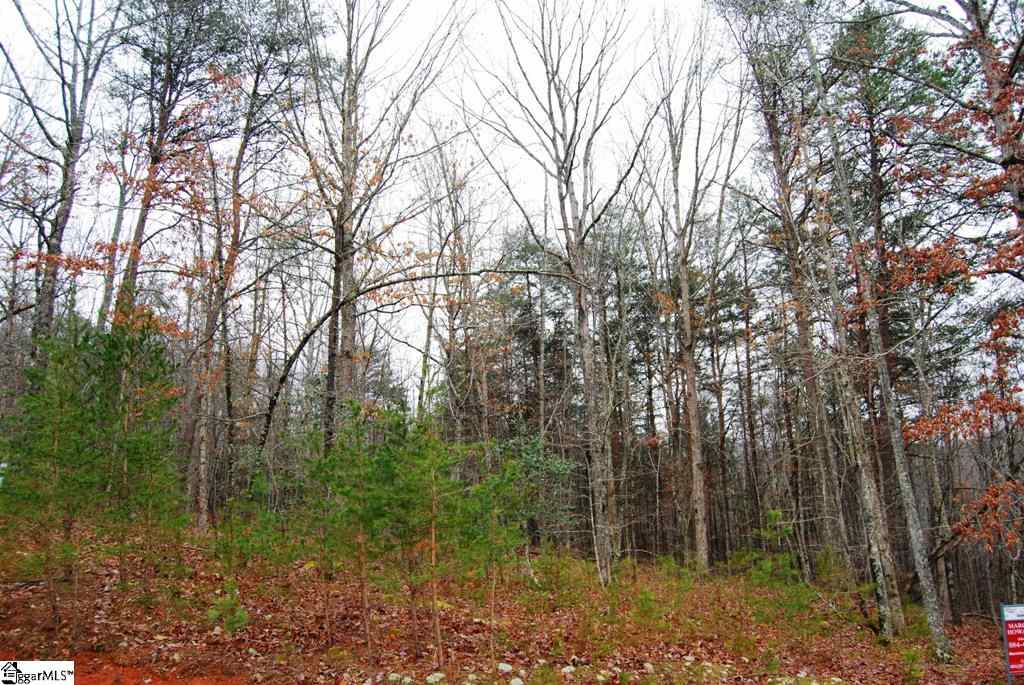0 Roco Trail, Unit LOT 26 ROCO TRAIL Travelers Rest, SC 29690 - Photo 4 of 8 Gallery Image 4