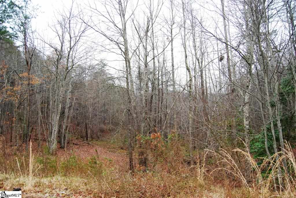 0 Roco Trail, Unit LOT 26 ROCO TRAIL Travelers Rest, SC 29690 - Photo 5 of 8 Gallery Image 5