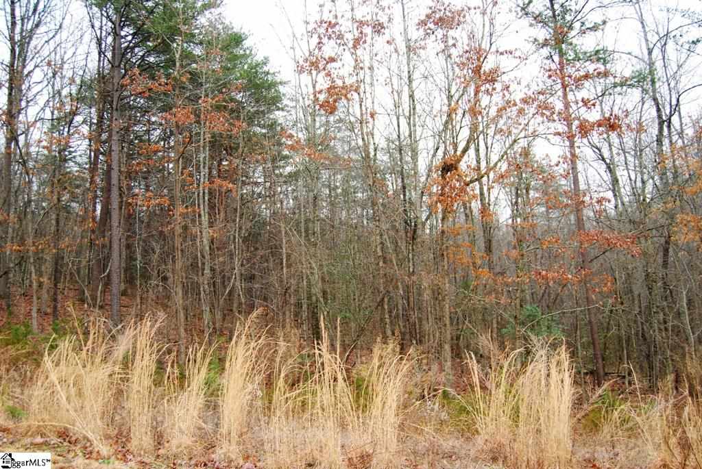 0 Roco Trail, Unit LOT 26 ROCO TRAIL Travelers Rest, SC 29690 - Photo 6 of 8 Gallery Image 6