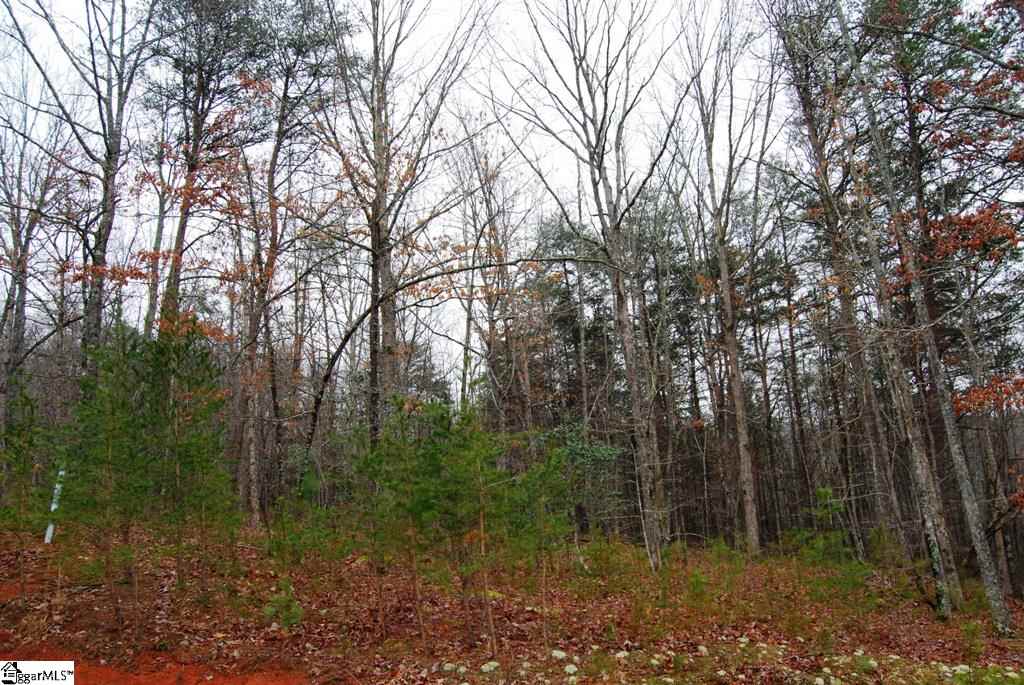 0 Roco Trail, Unit LOT 26 ROCO TRAIL Travelers Rest, SC 29690 - Photo 7 of 8 Gallery Image 7
