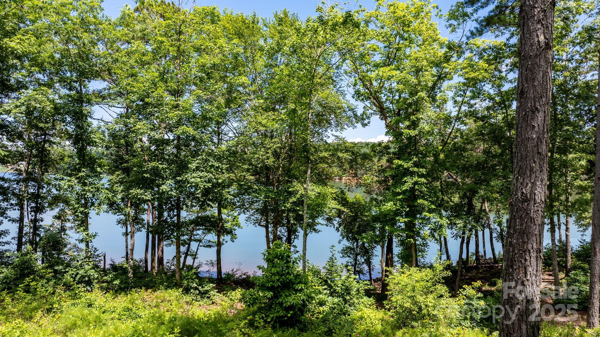 3085 Jumping Run, Unit 101 Connelly Springs, NC 28612 - Photo 8 of 17