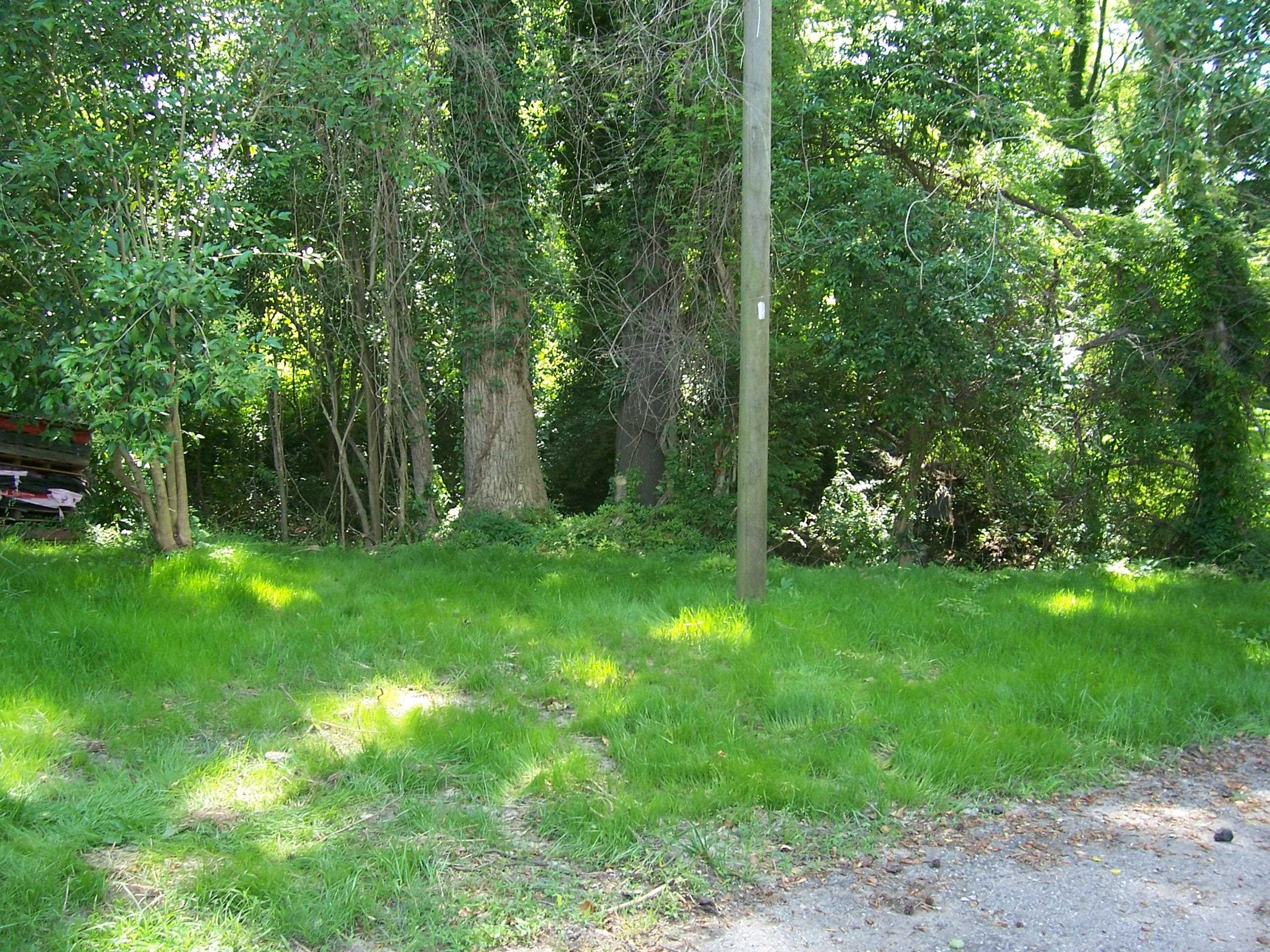 415 West Frederick Street Gaffney, SC 29341 - Photo 29 of 30