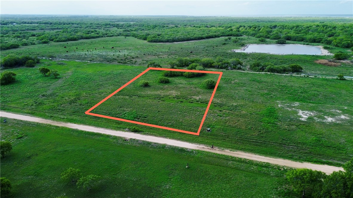 Lot 4 T-head Drive Riviera, TX 78379 - Photo 4 of 6 a view of a backyard with a garden