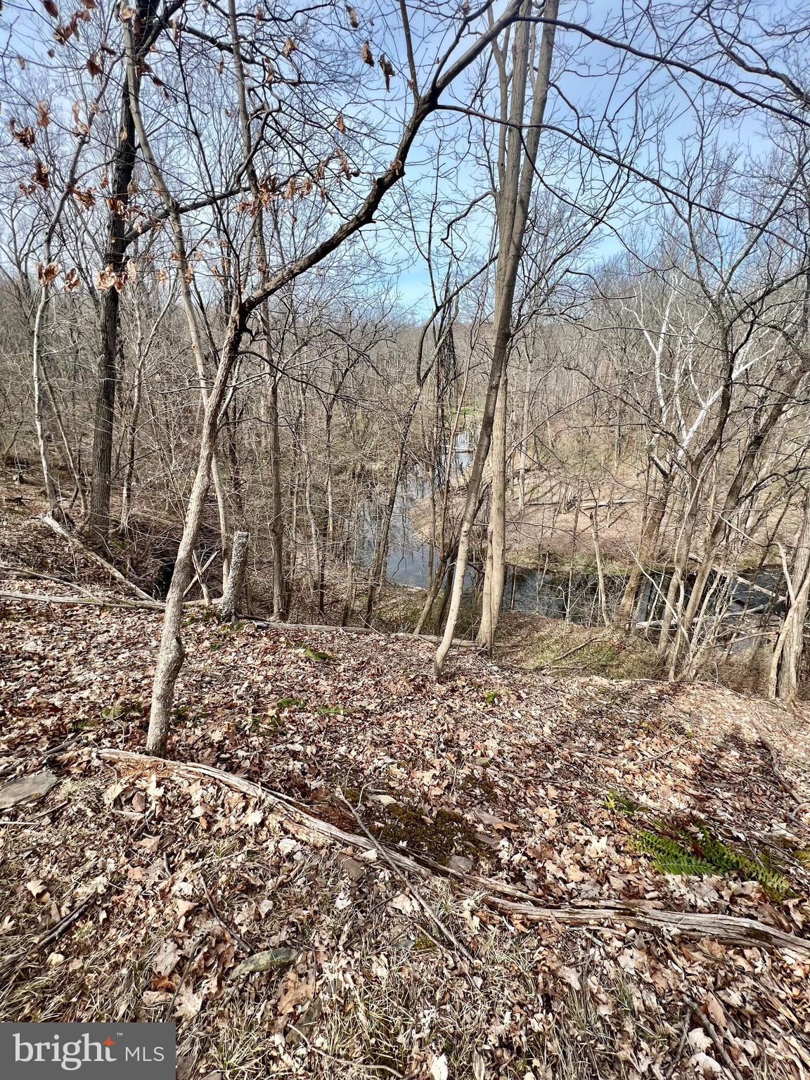 0 Mill Creek Road Southampton, PA 18966 - Photo 8 of 9