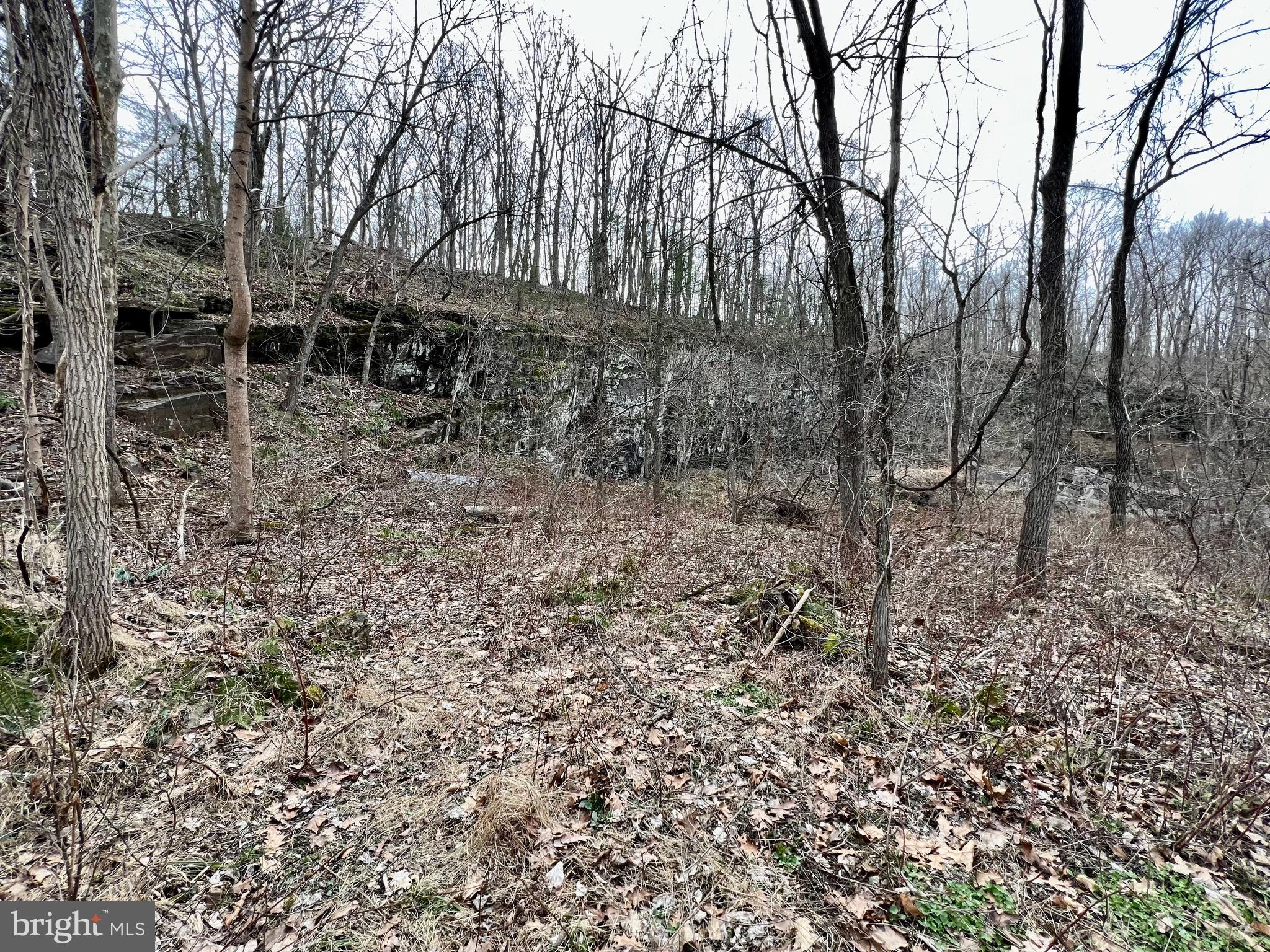 0 Mill Creek Road Southampton, PA 18966 - Photo 9 of 9