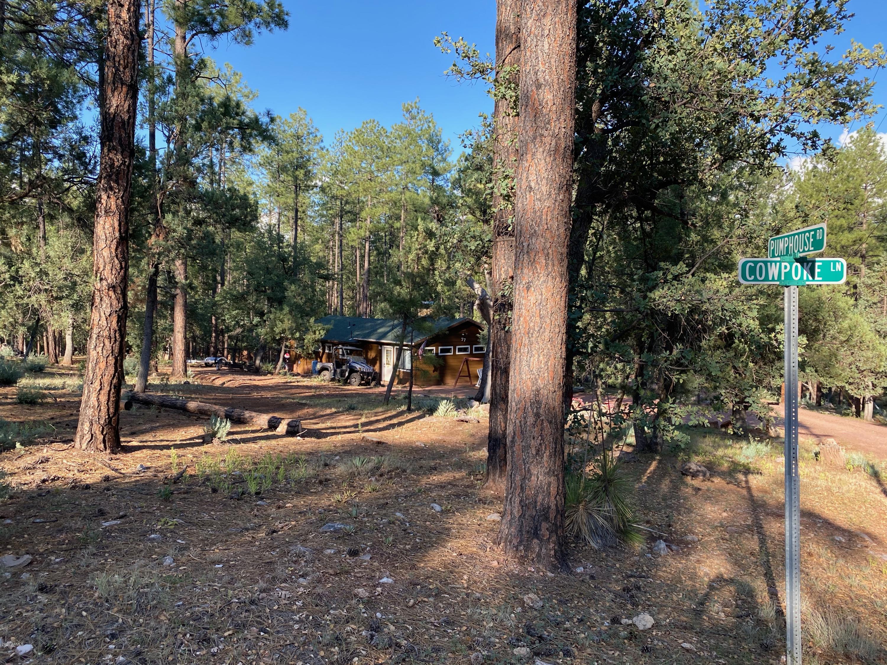 674 South Pumphouse Road Payson, AZ 85541 - Photo 9 of 32 IMG_0476