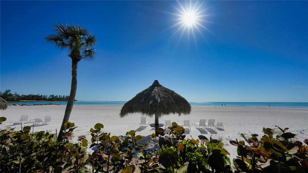 100 Sands Point Road, Unit 114 Longboat Key, FL 34228 - Photo 20 of 40