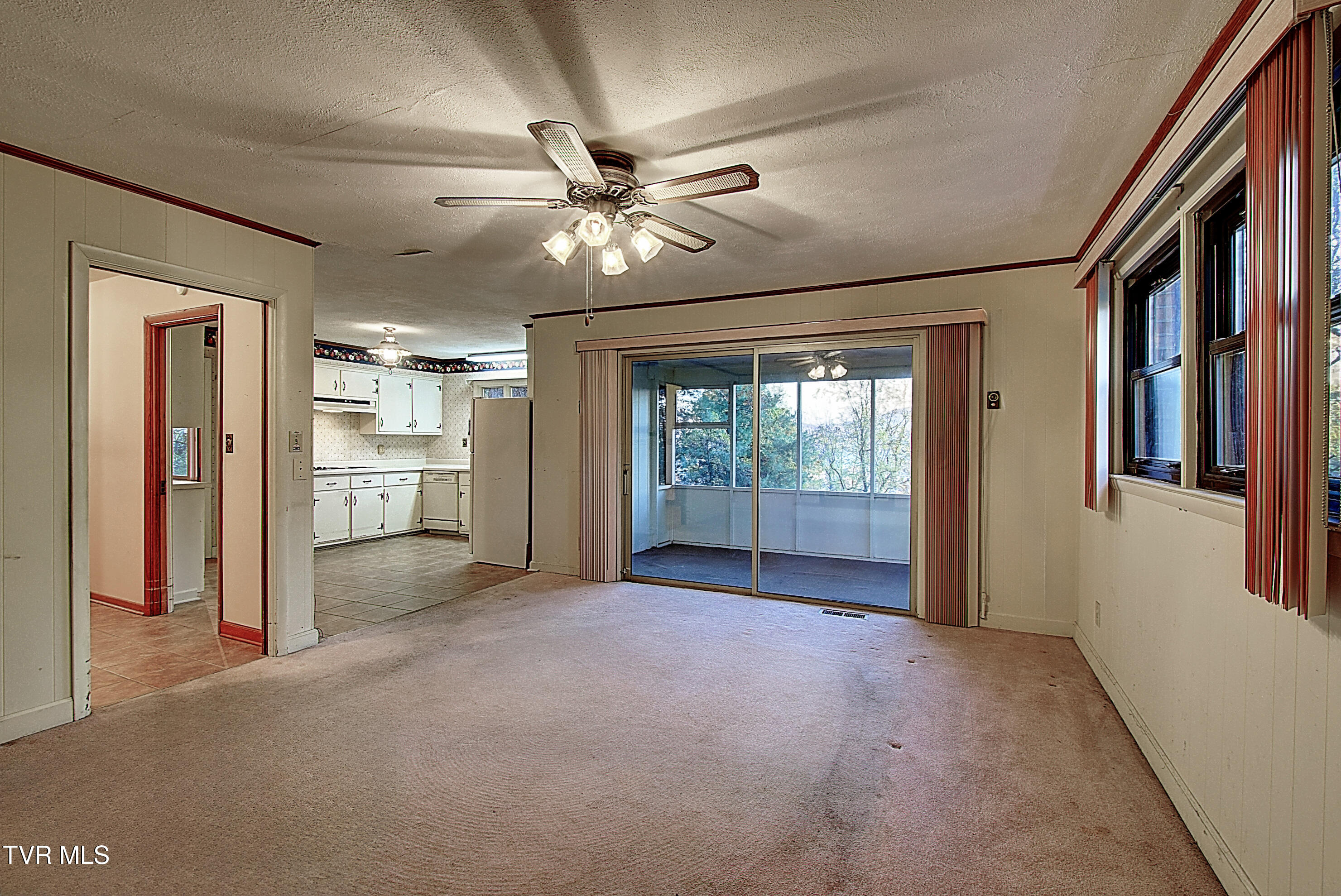 201 Ridgecrest Drive Elizabethton, TN 37643 - Photo 28 of 79 DSC_0316And8more