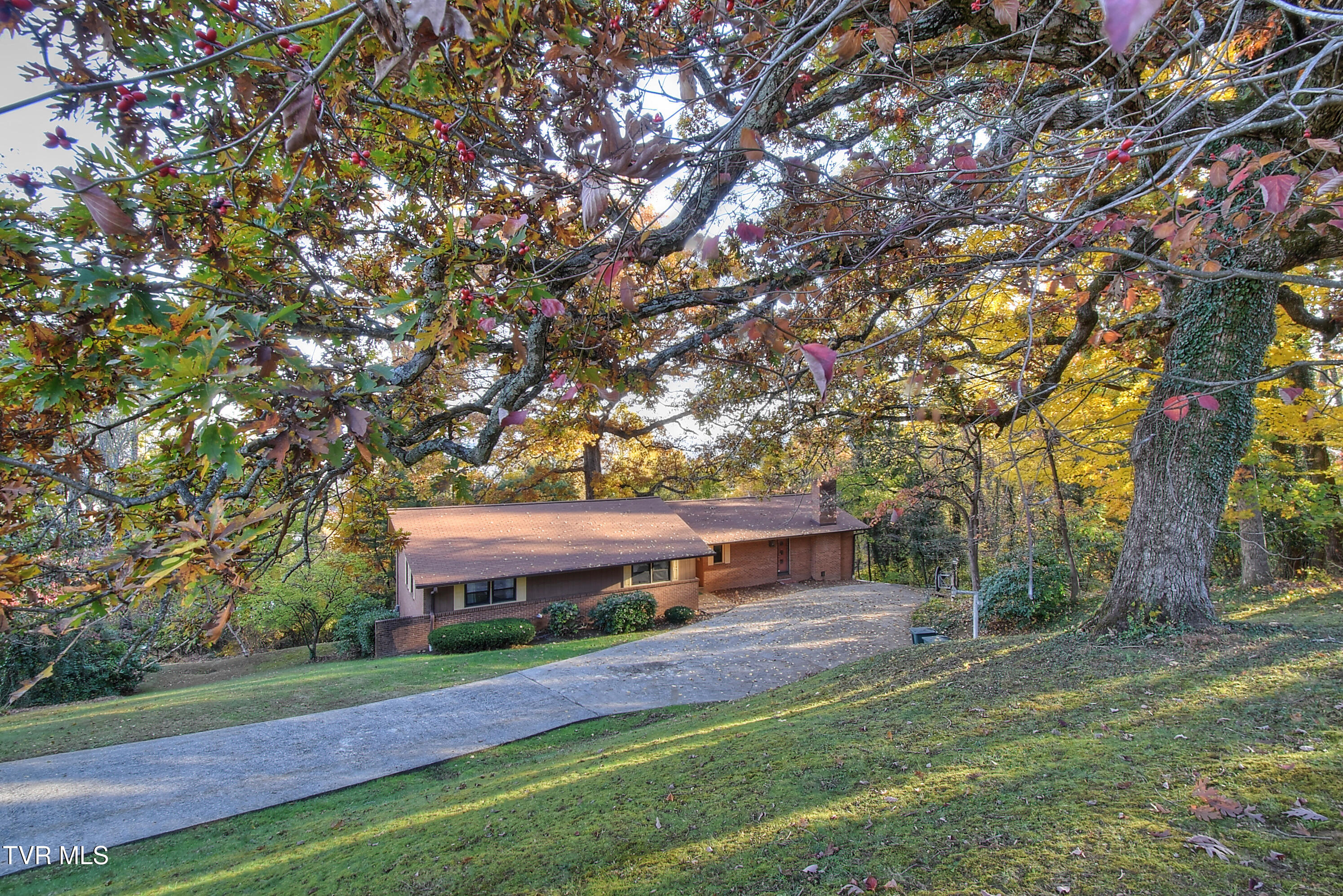 201 Ridgecrest Drive Elizabethton, TN 37643 - Photo 69 of 79 3
