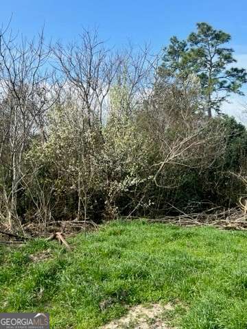 367 Pine Street Unadilla, GA 31091 - Photo 2 of 6