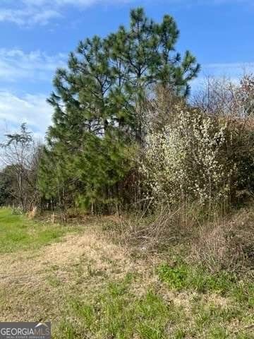 367 Pine Street Unadilla, GA 31091 - Photo 3 of 6