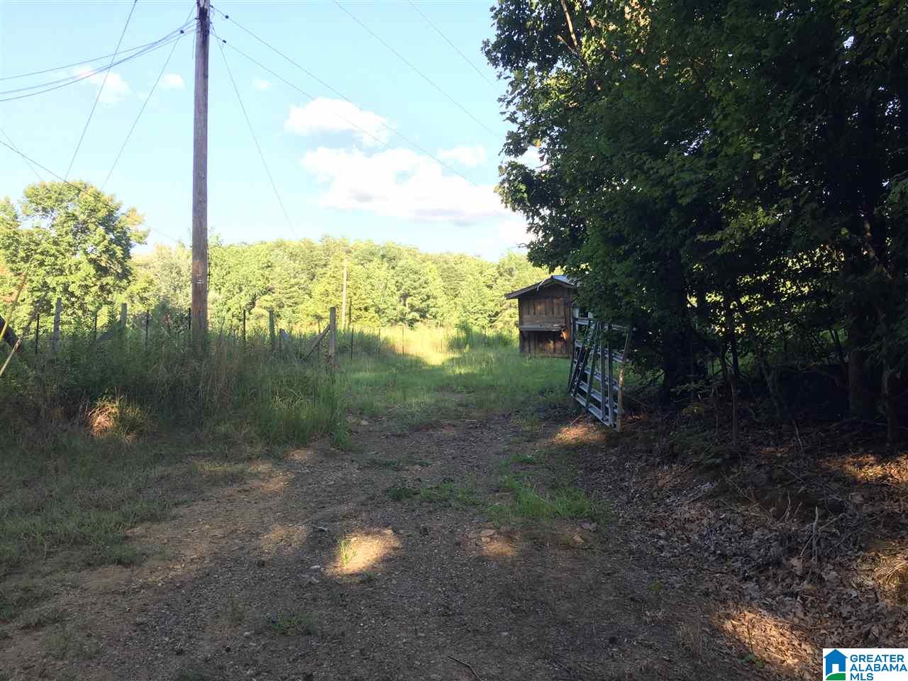0 Valley Creek Road Piedmont, AL 36272 - Photo 6 of 28