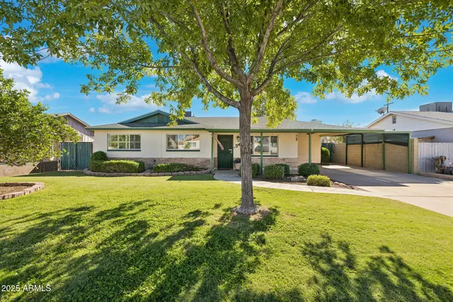 a front view of a house with yard and green space