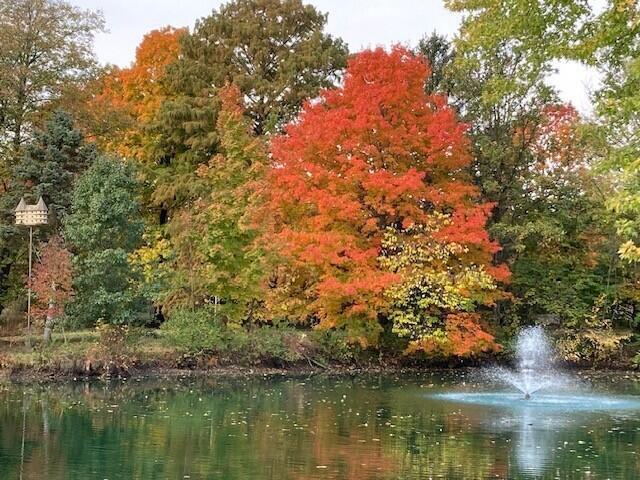 6980 South Old State Road Lewis Center, OH 43035 - Photo 55 of 66 Fall Pond