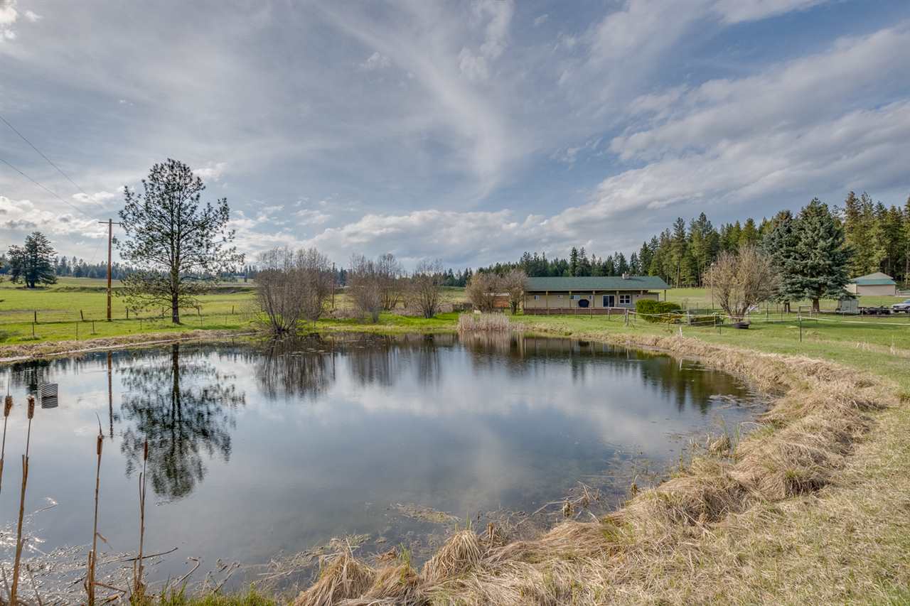 42709 North Boundary Road Elk, WA 99009 - Photo 2 of 17