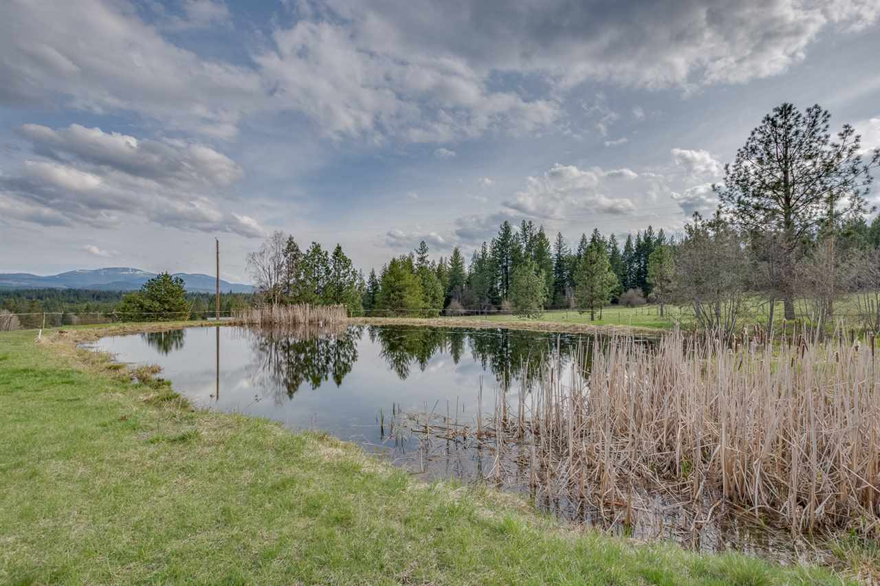 42709 North Boundary Road Elk, WA 99009 - Photo 15 of 17