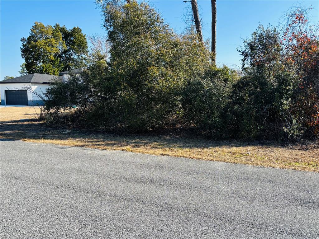 0 Southwest 153rd Pl Road, Unit 3 Ocala, FL 34473 - Photo 2 of 11
