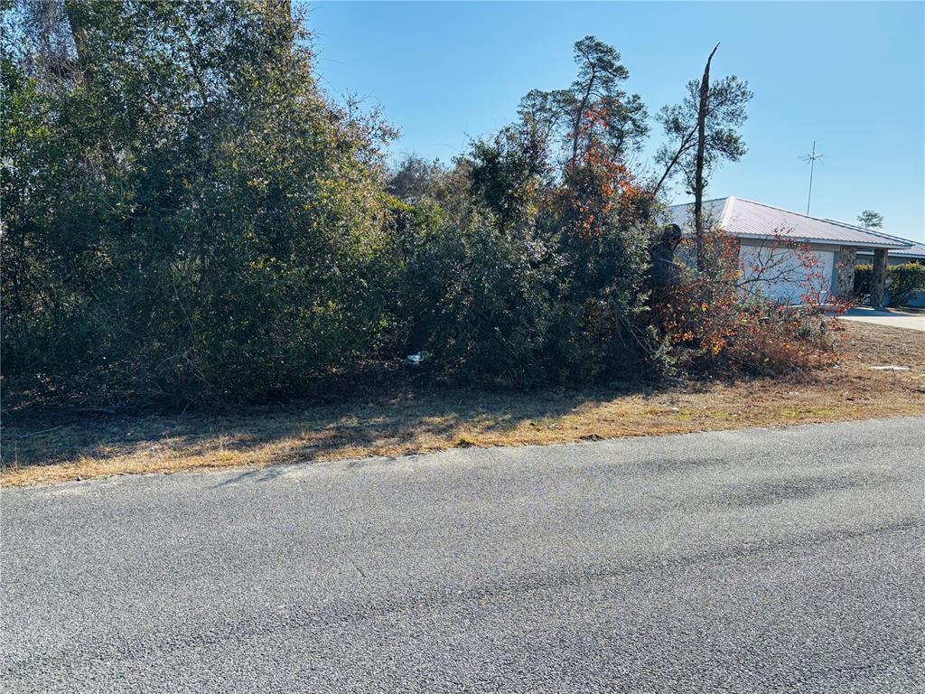 0 Southwest 153rd Pl Road, Unit 3 Ocala, FL 34473 - Photo 3 of 11