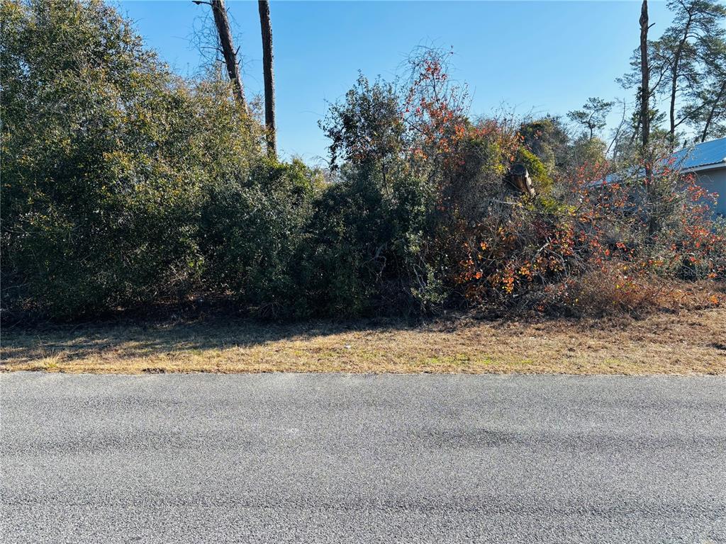 0 Southwest 153rd Pl Road, Unit 3 Ocala, FL 34473 - Photo 7 of 11