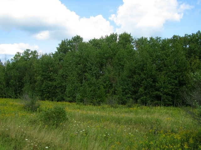 4476 Powell Road Kewadin, MI 49648 - Photo 26 of 31 1810637-35.JPG