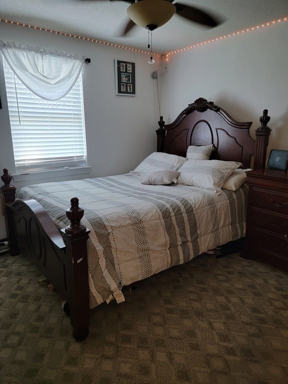 192 Starling Road Springfield, MA 01119 - Photo 15 of 26 a bedroom with a bed and a window
