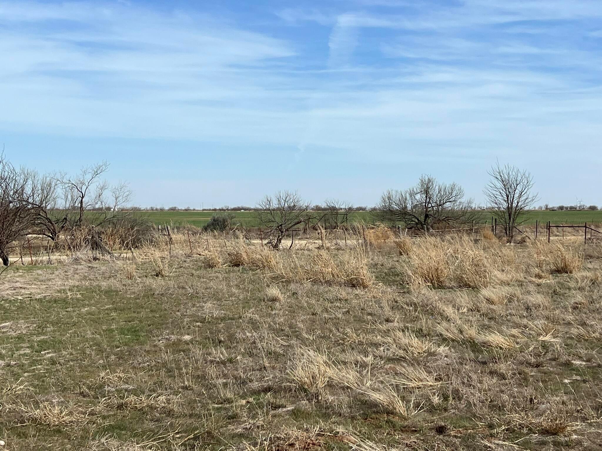 6 Tbd State Highway Crowell, TX 79227 - Photo 13 of 19 IMG_1515