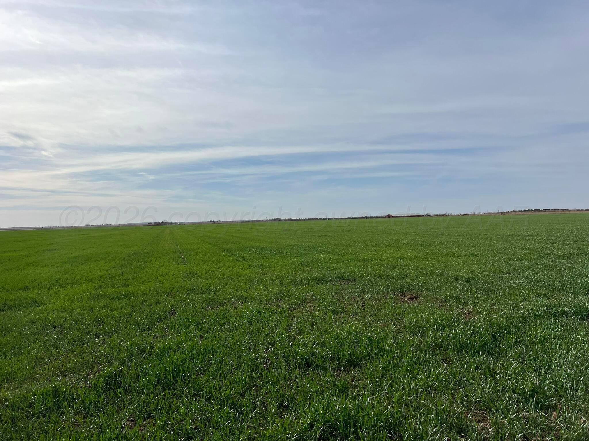 6 Tbd State Highway Crowell, TX 79227 - Photo 16 of 19 IMG_1518